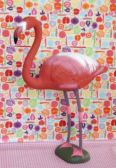 flamingo_morkrosavit_1
